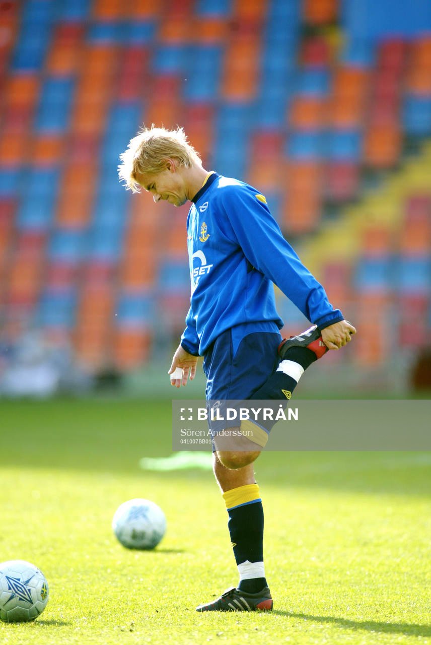 Niclas Alexandersson, Sverige
