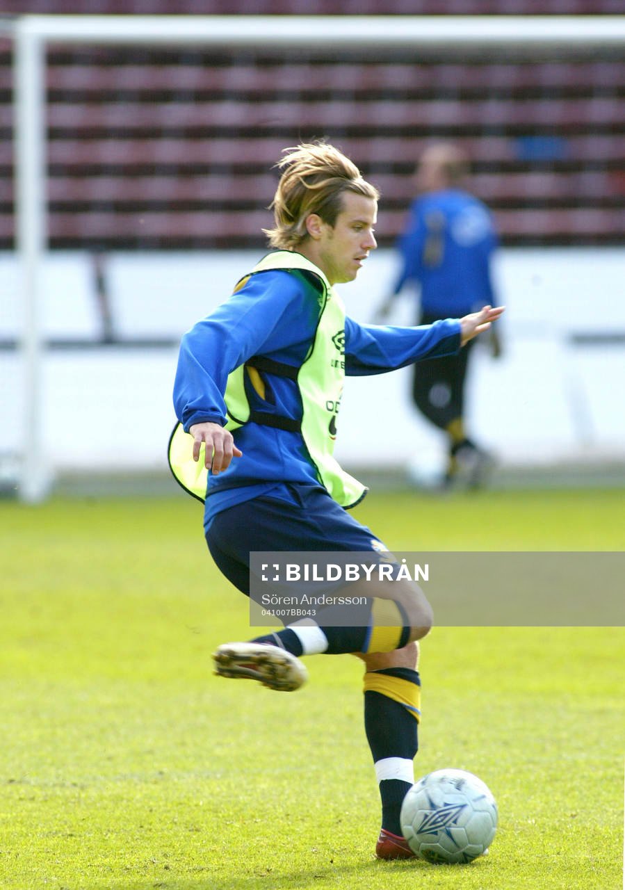 Pontus Farnerud, Sverige