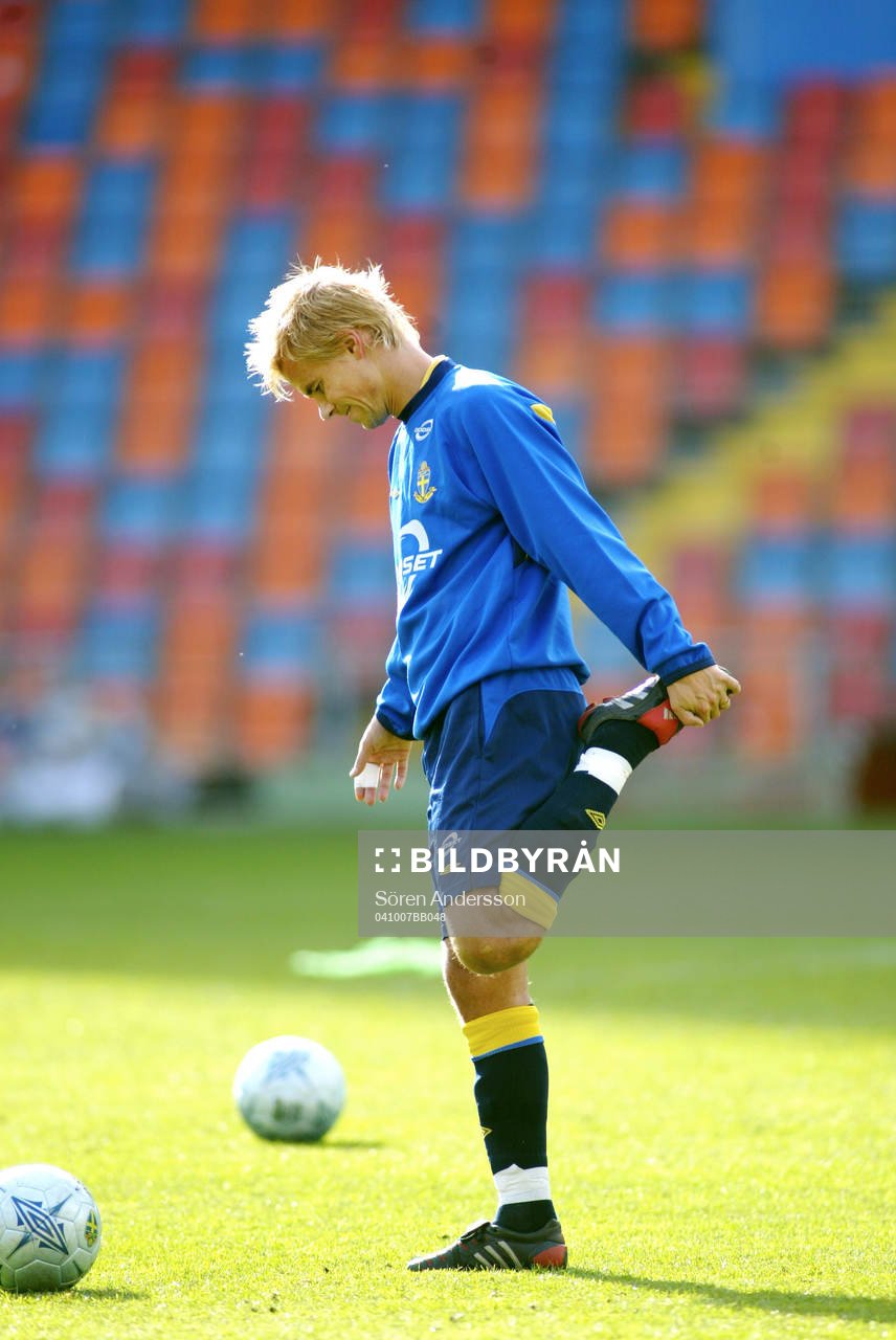 Niclas Alexandersson, Sverige
