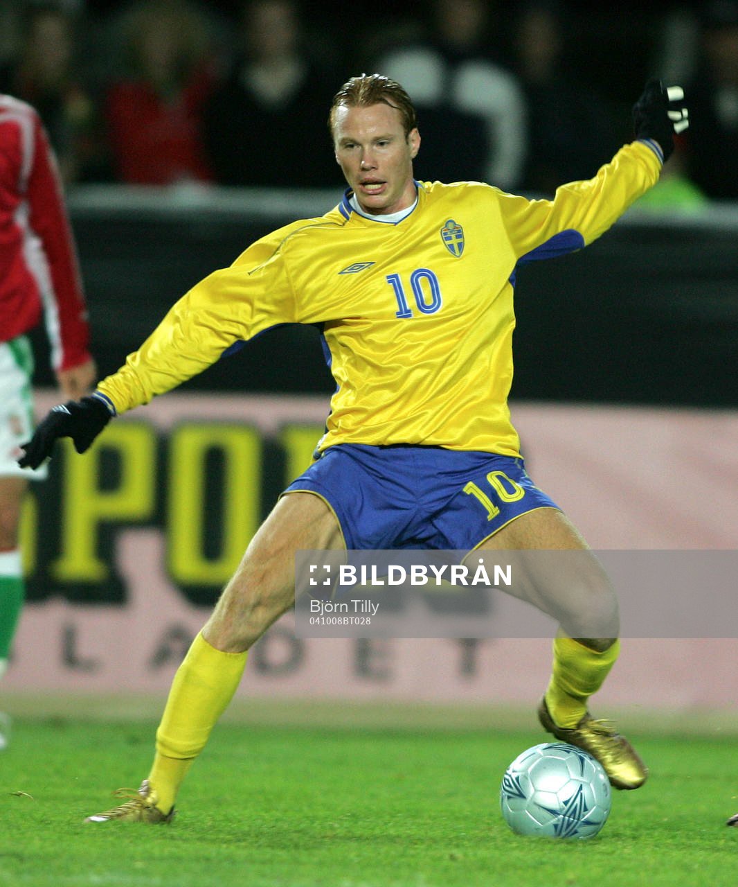 Alexander Farnerud, Sverige