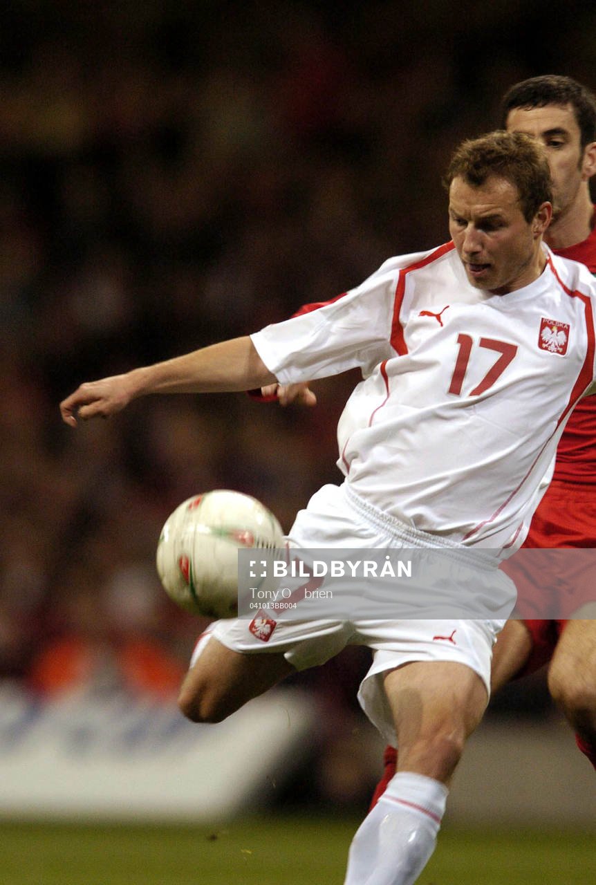 Tomasz Frankowski, Polen