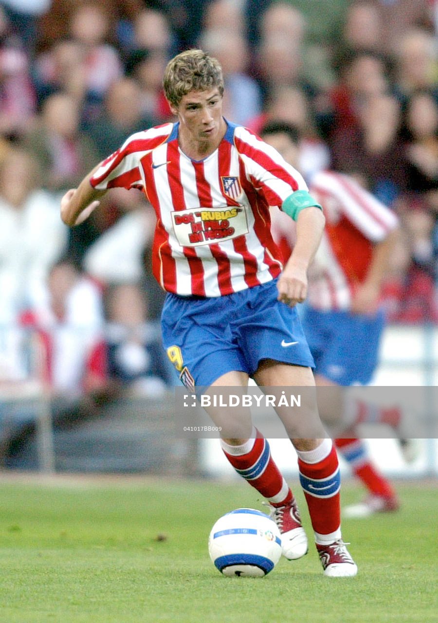 Fernando Torres, Atletico Madrid