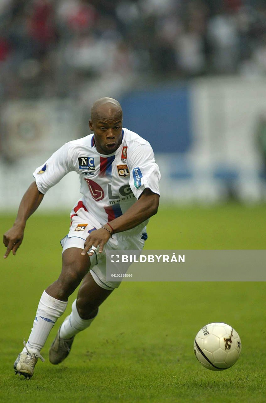 Sylvain Wiltord, Lyon