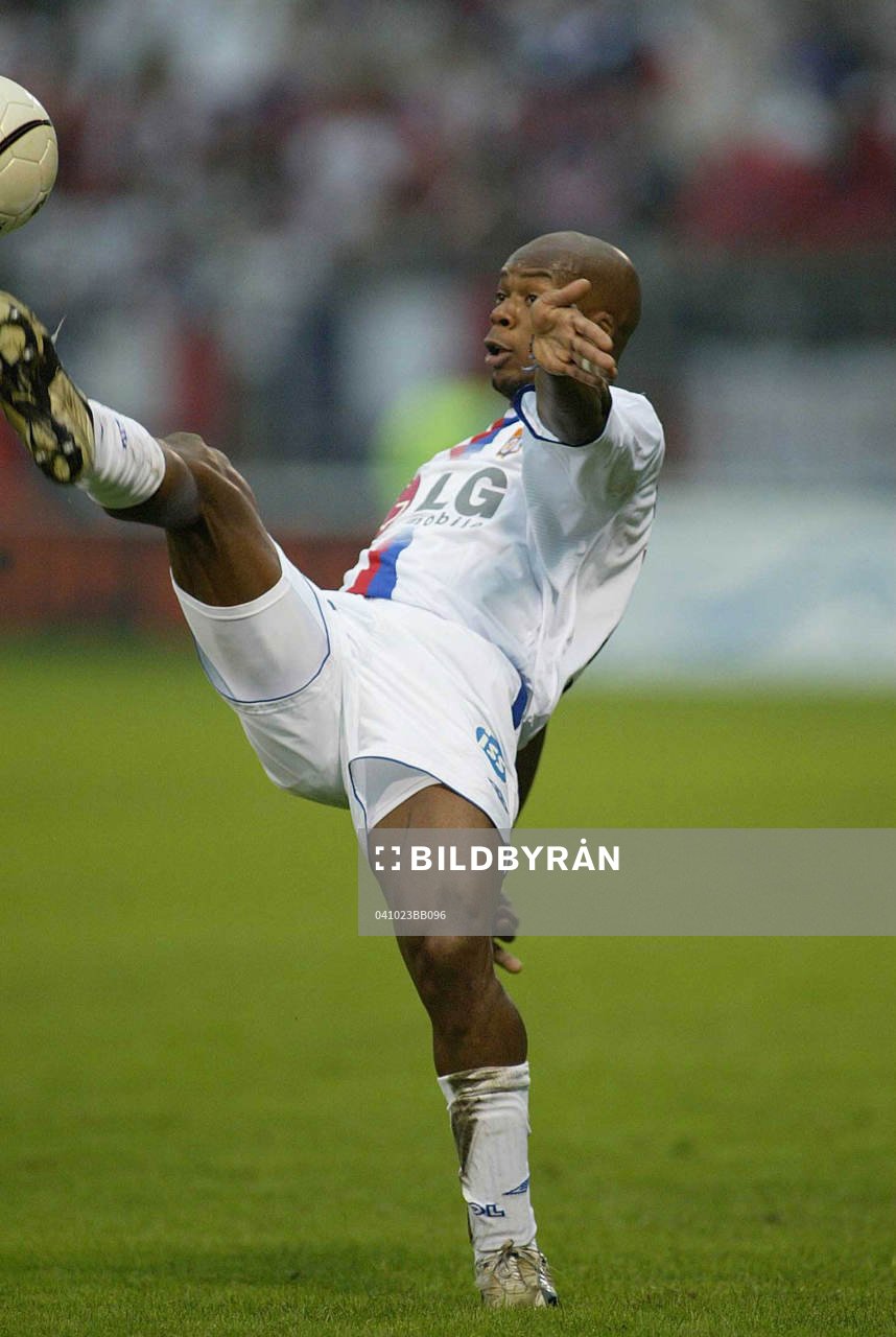 Sylvain Wiltord, Lyon