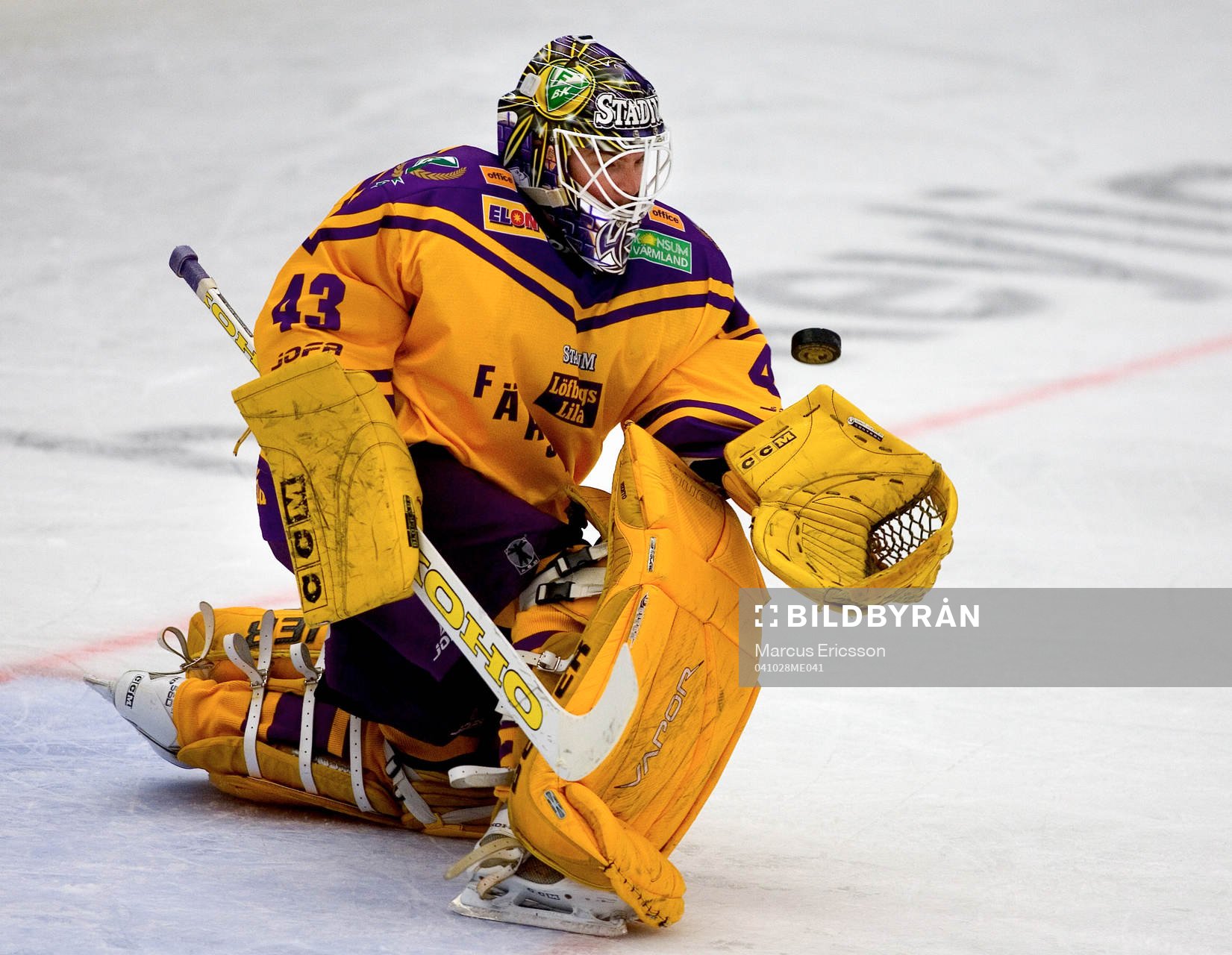 Daniel Henriksson, målvakt Färjestad