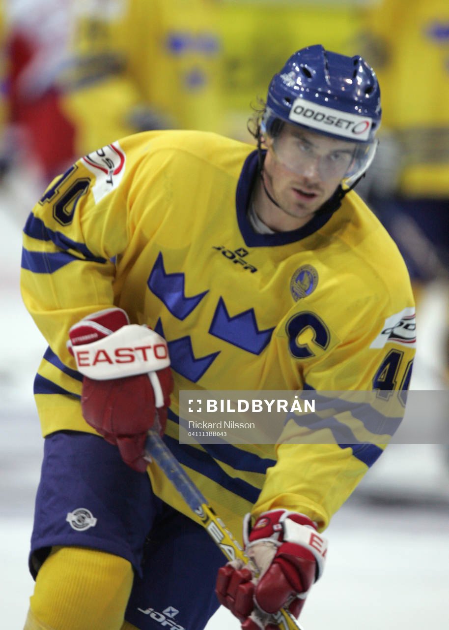 Henrik Zetterberg, Sverige