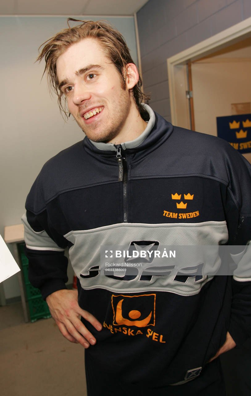 Henrik Zetterberg, Sverige