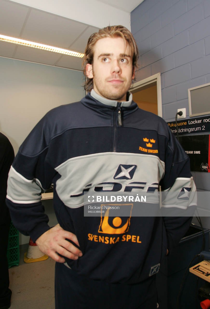 Henrik Zetterberg, Sverige