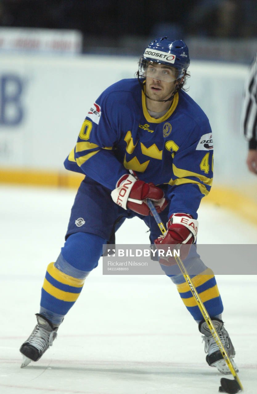 Henrik Zetterberg, Sverige