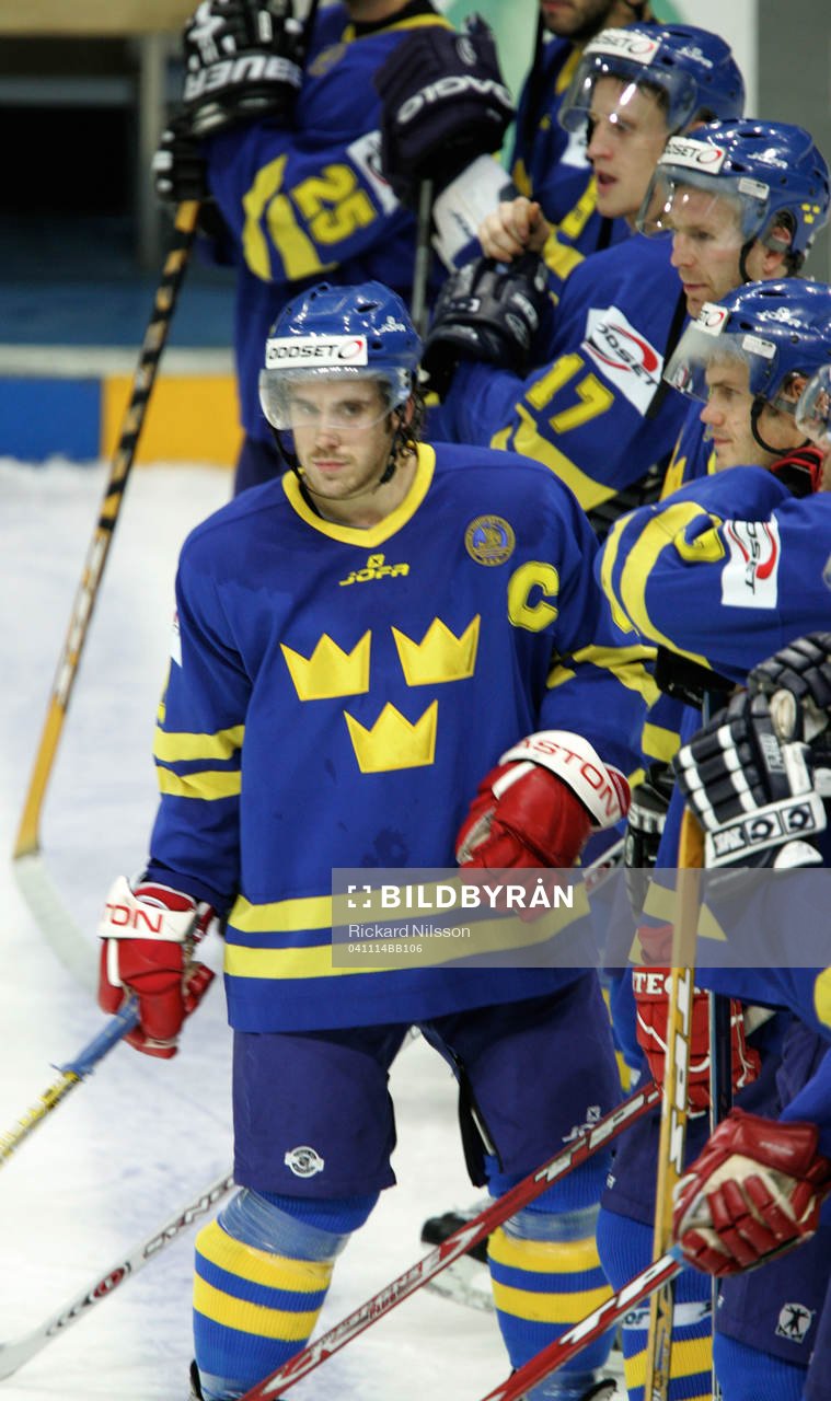 Henrik Zetterberg, Sverige