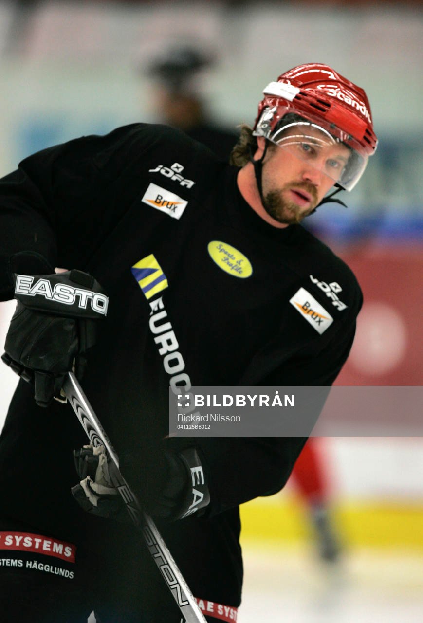 Ishockey, Elitserien, Malmö - Modo
