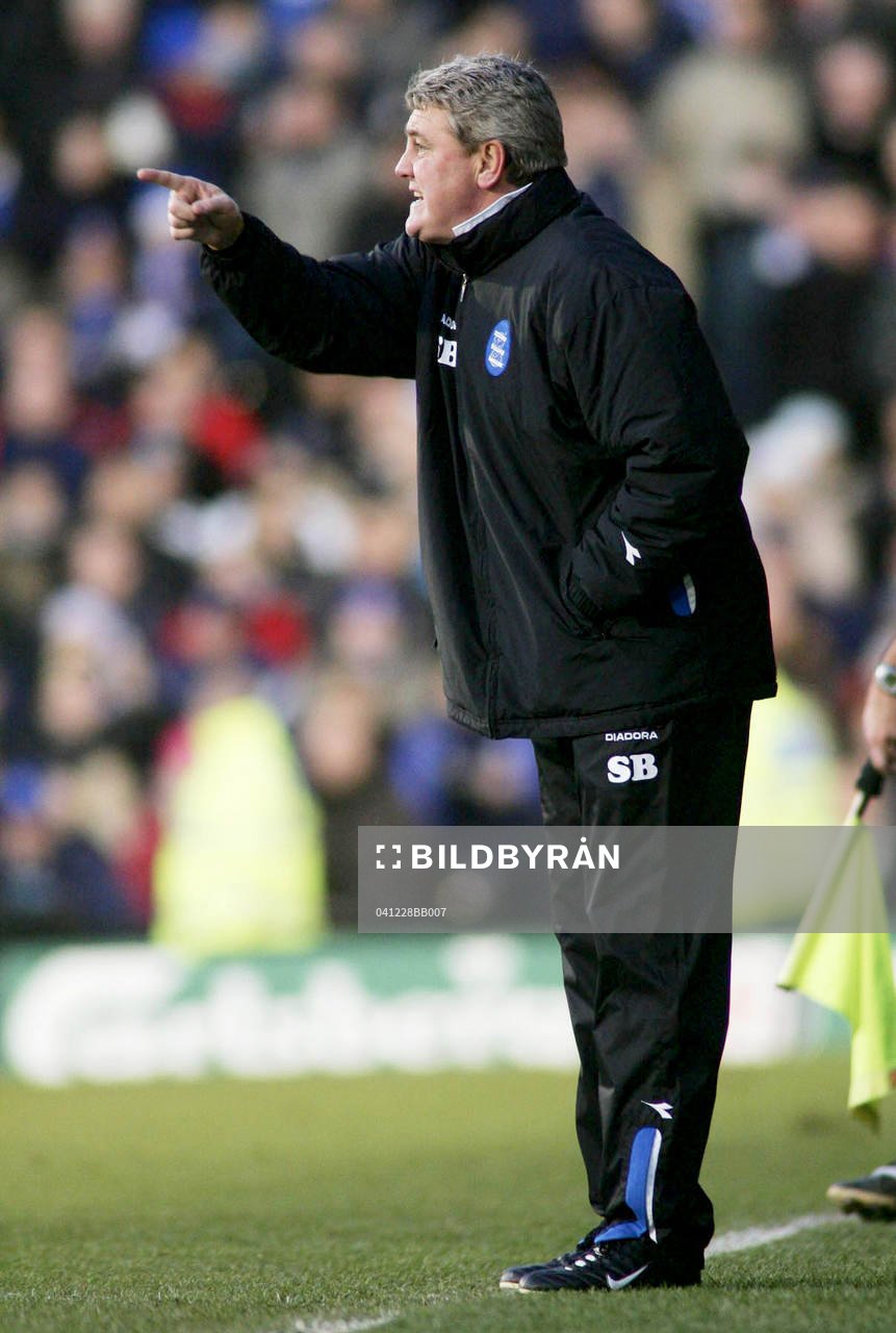 Steve Bruce, Birmingham, manager, tränare