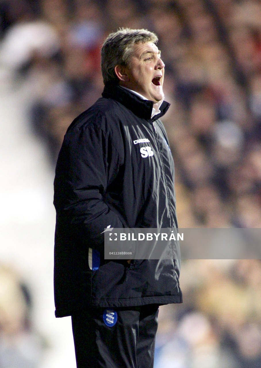 Steve Bruce, Birmingham, manager, tränare
