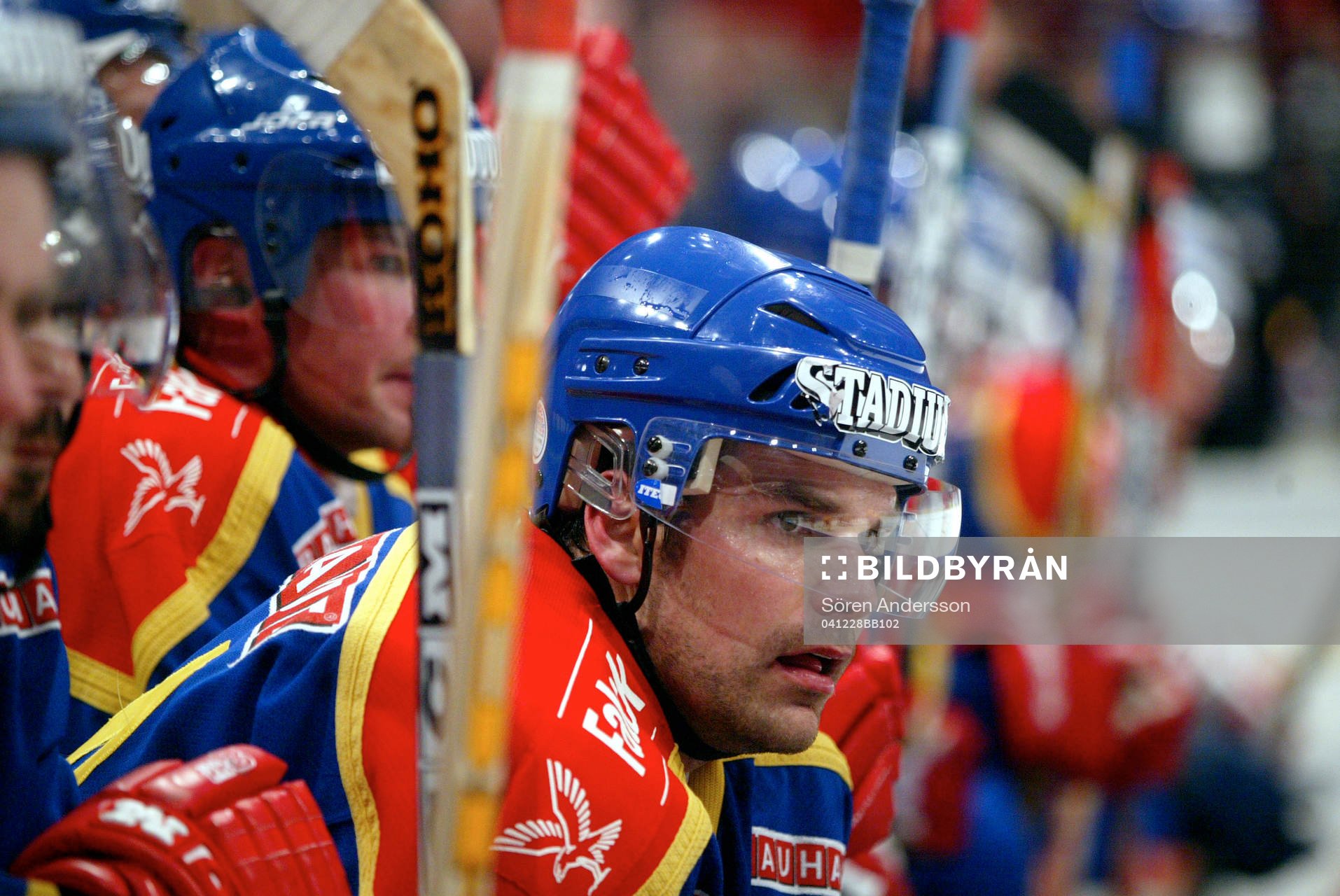 Dan Boyle, Djurgården
