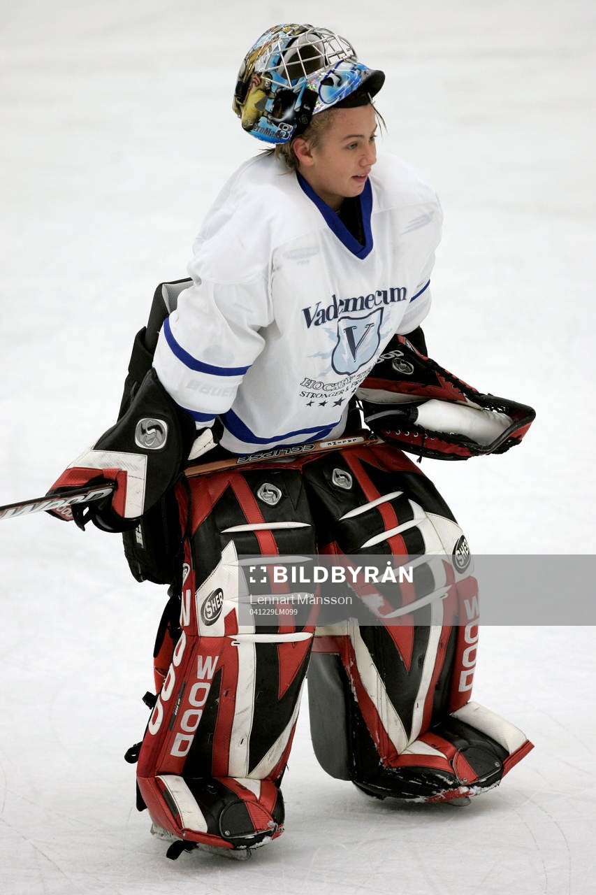 Ishockey, ungdom, junior, ungdomsturnering, Malmö -