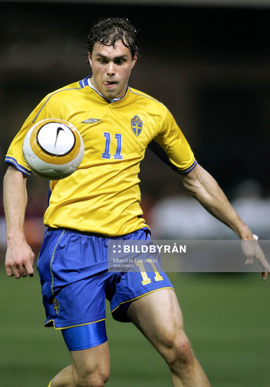 Johan Elmander, Sverige