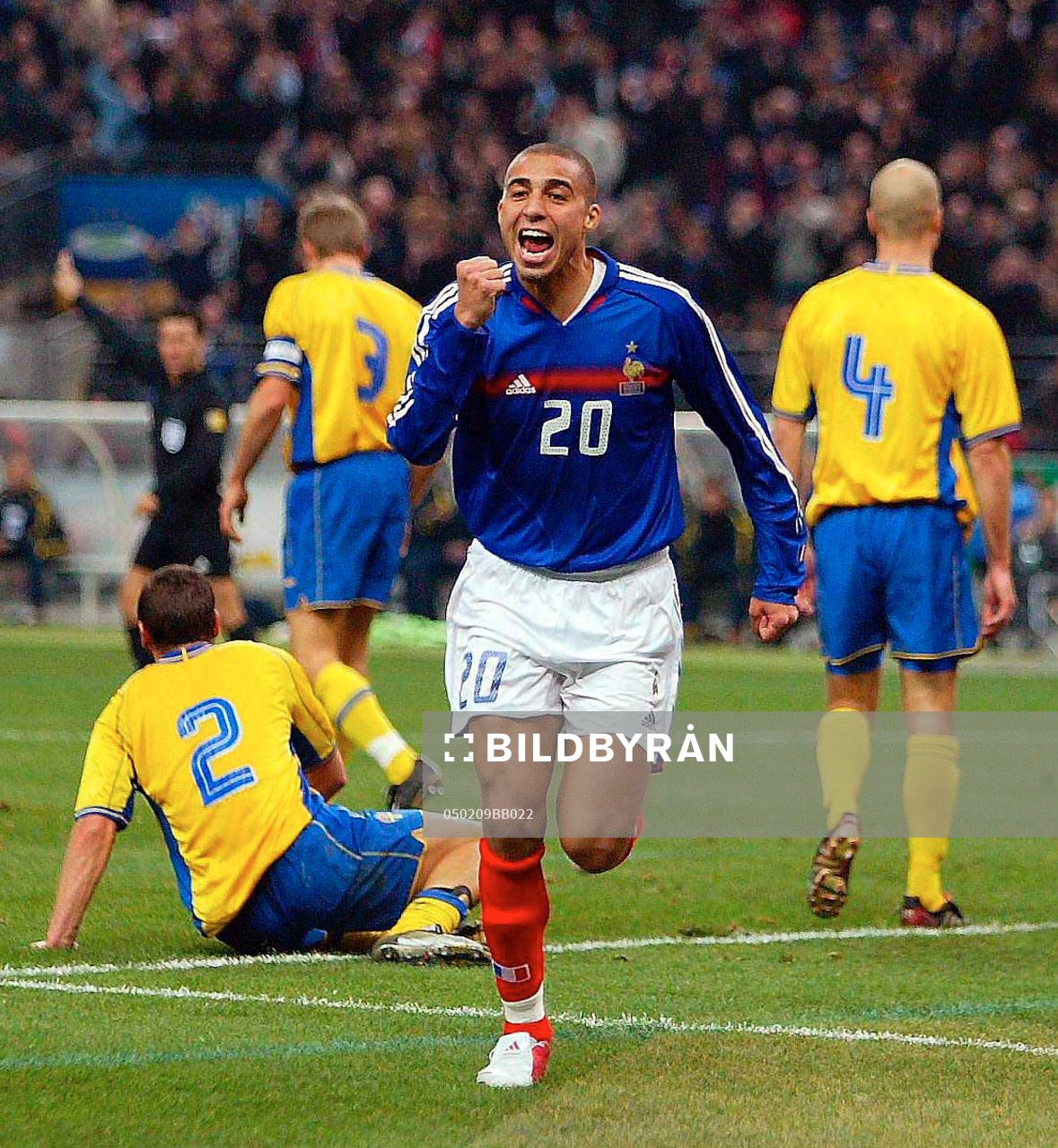 David Trezeguet, Frankrike, jubel