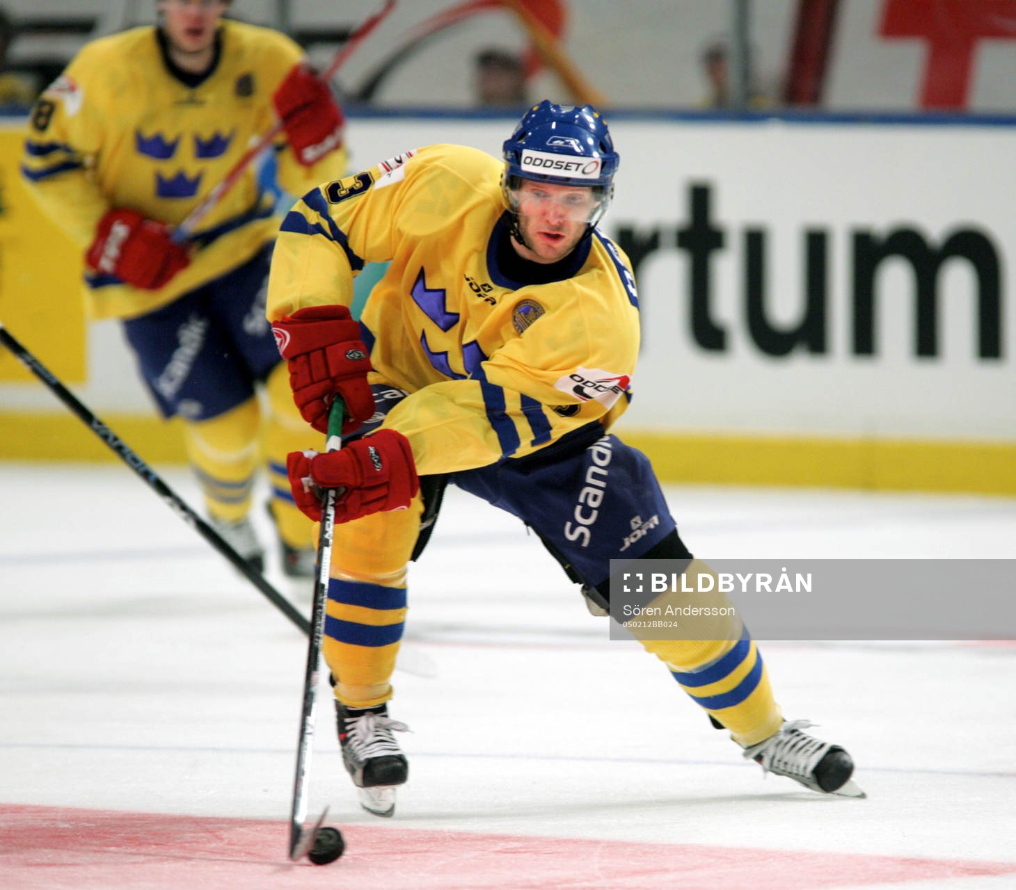 Nils Ekman, Sverige