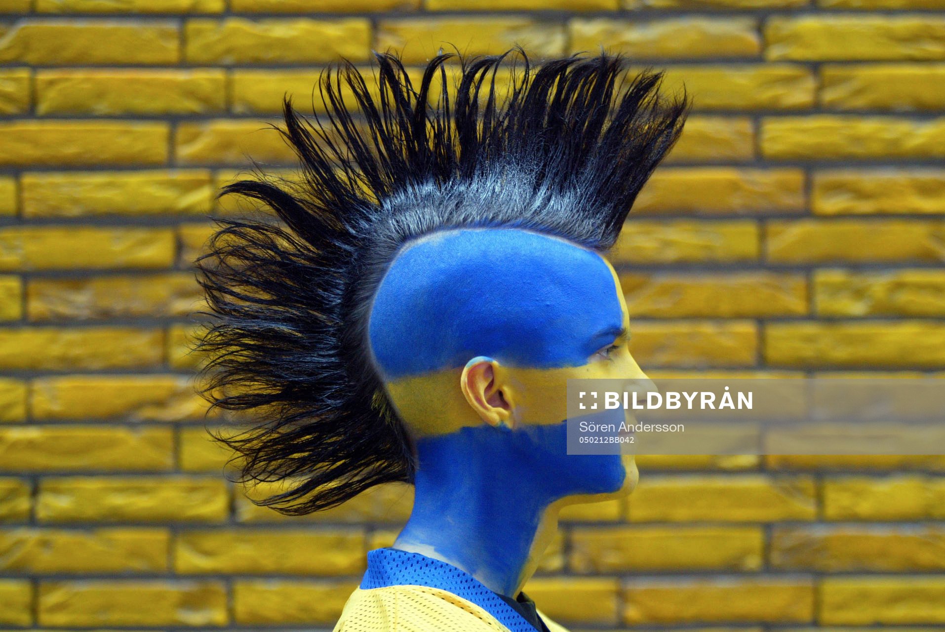 Supporter, Sverige