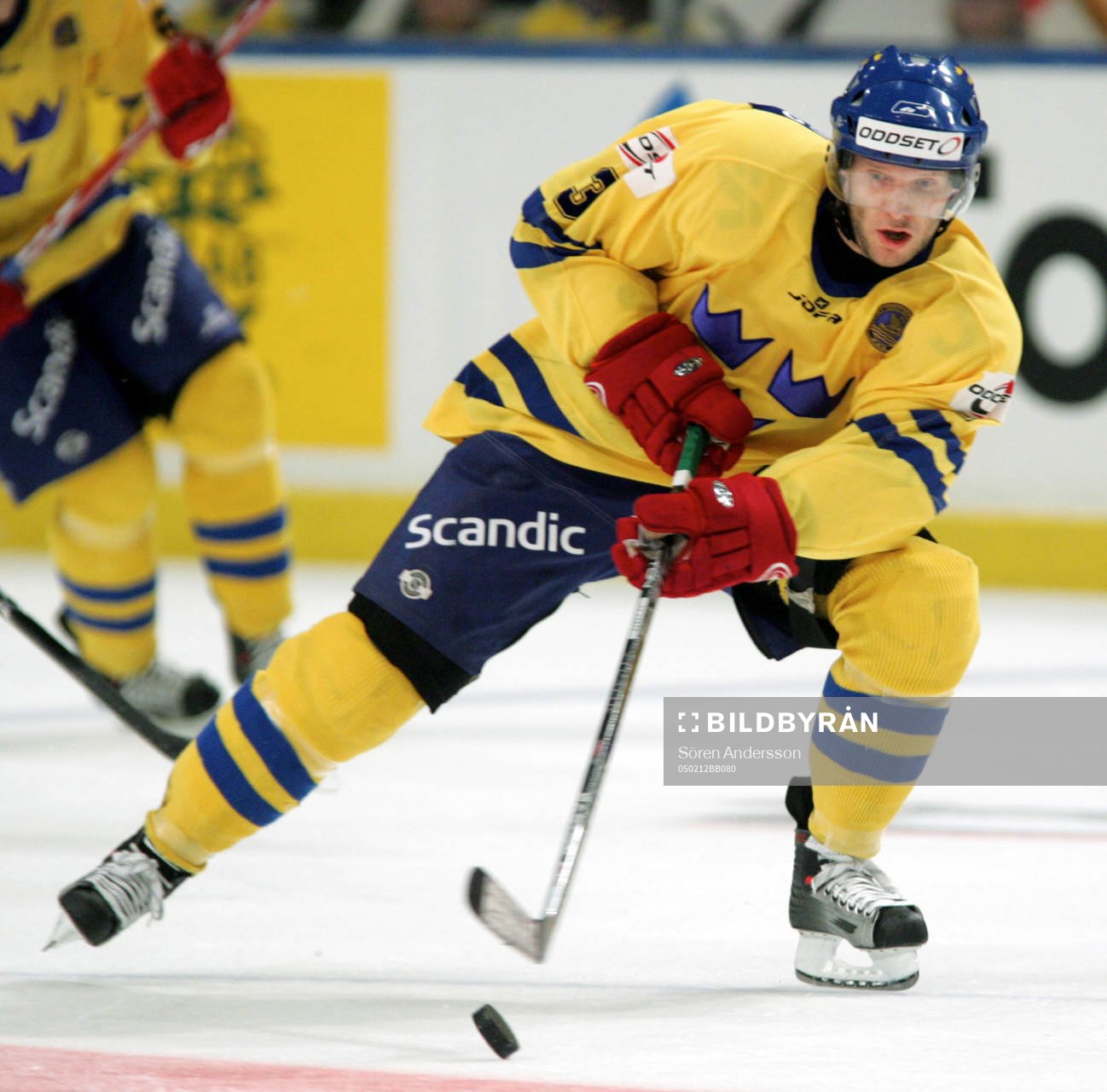 Nils Ekman, Sverige