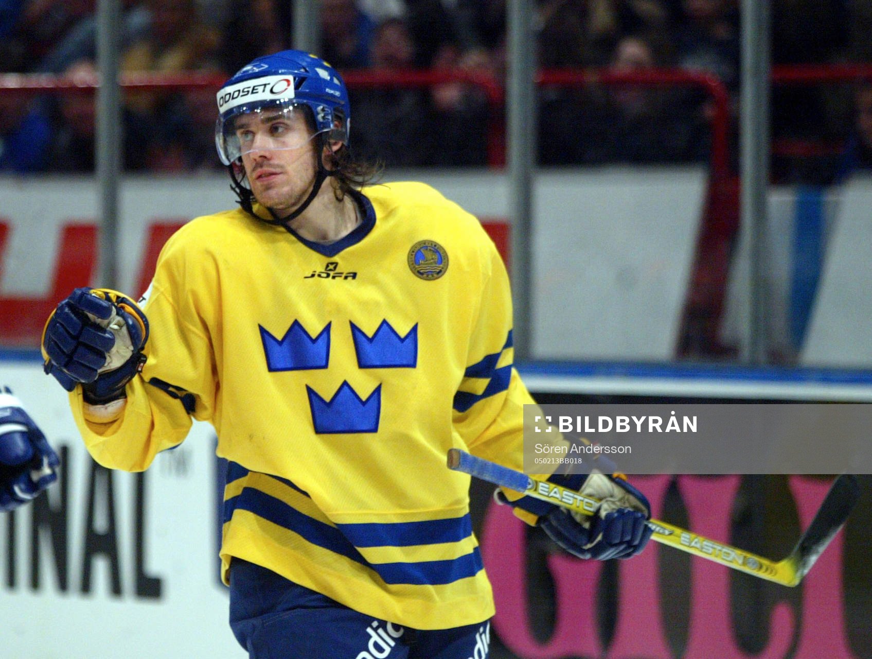 Henrik Zetterberg, Sverige