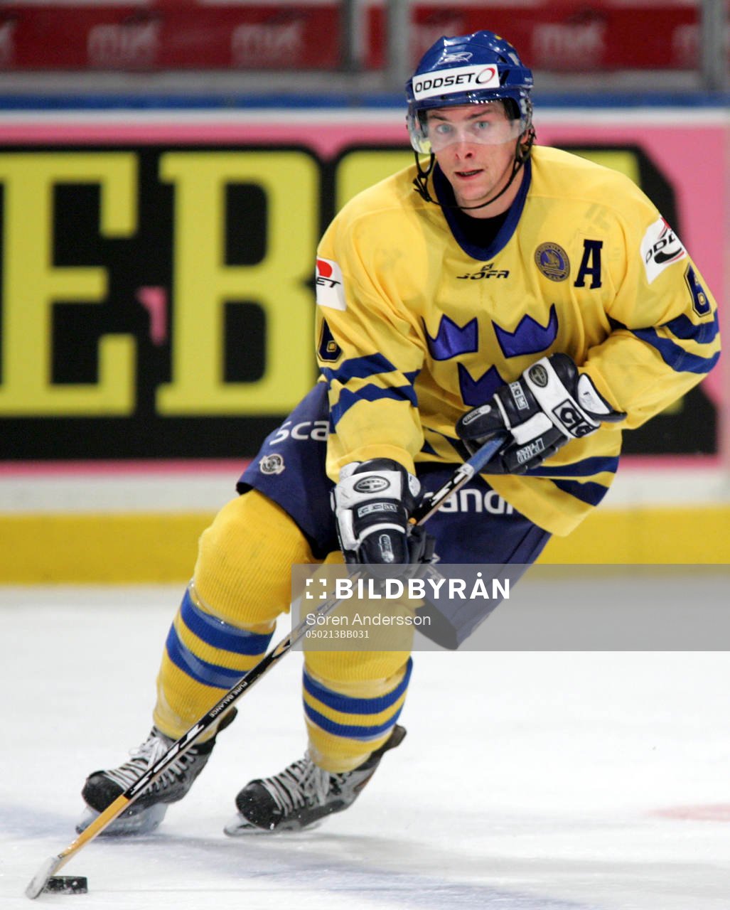 Magnus Johansson, Sverige