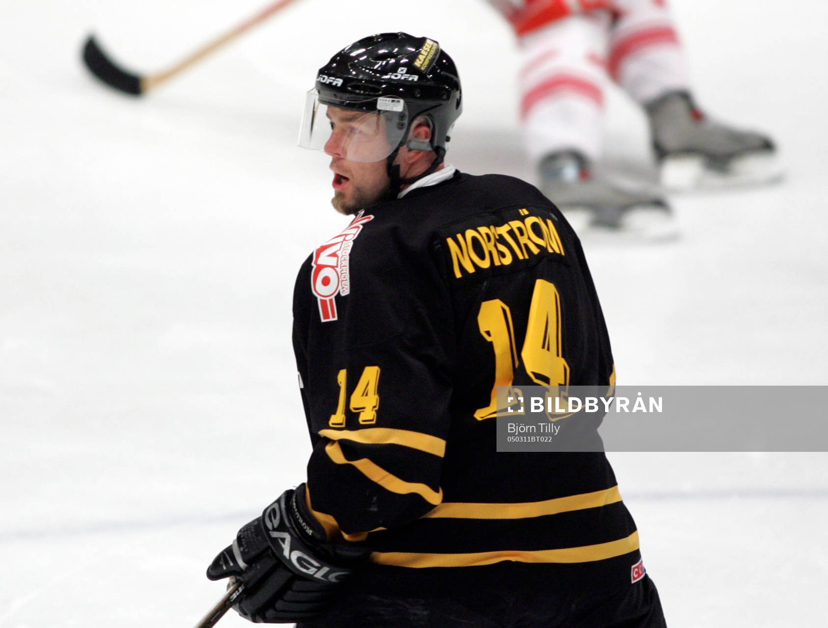 Mattias Norström gör comeback i AIK