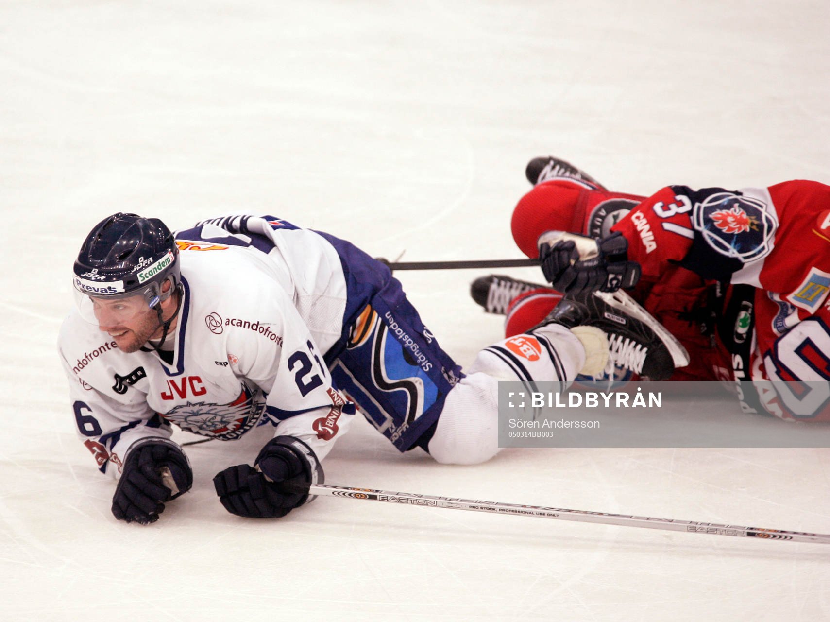 Mike Knuble, Linköping