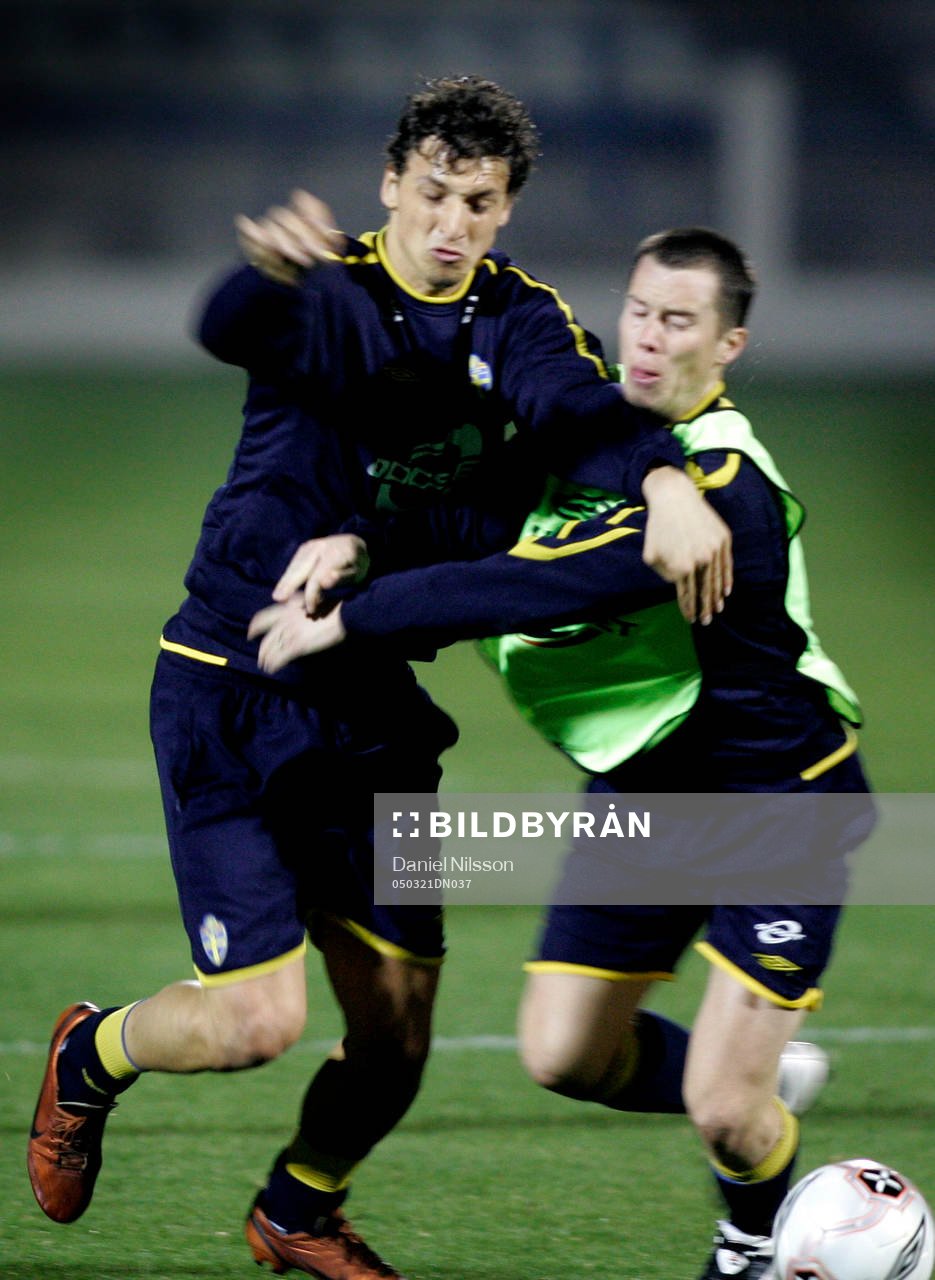 Zlatan Ibrahimovic och Daniel Andersson