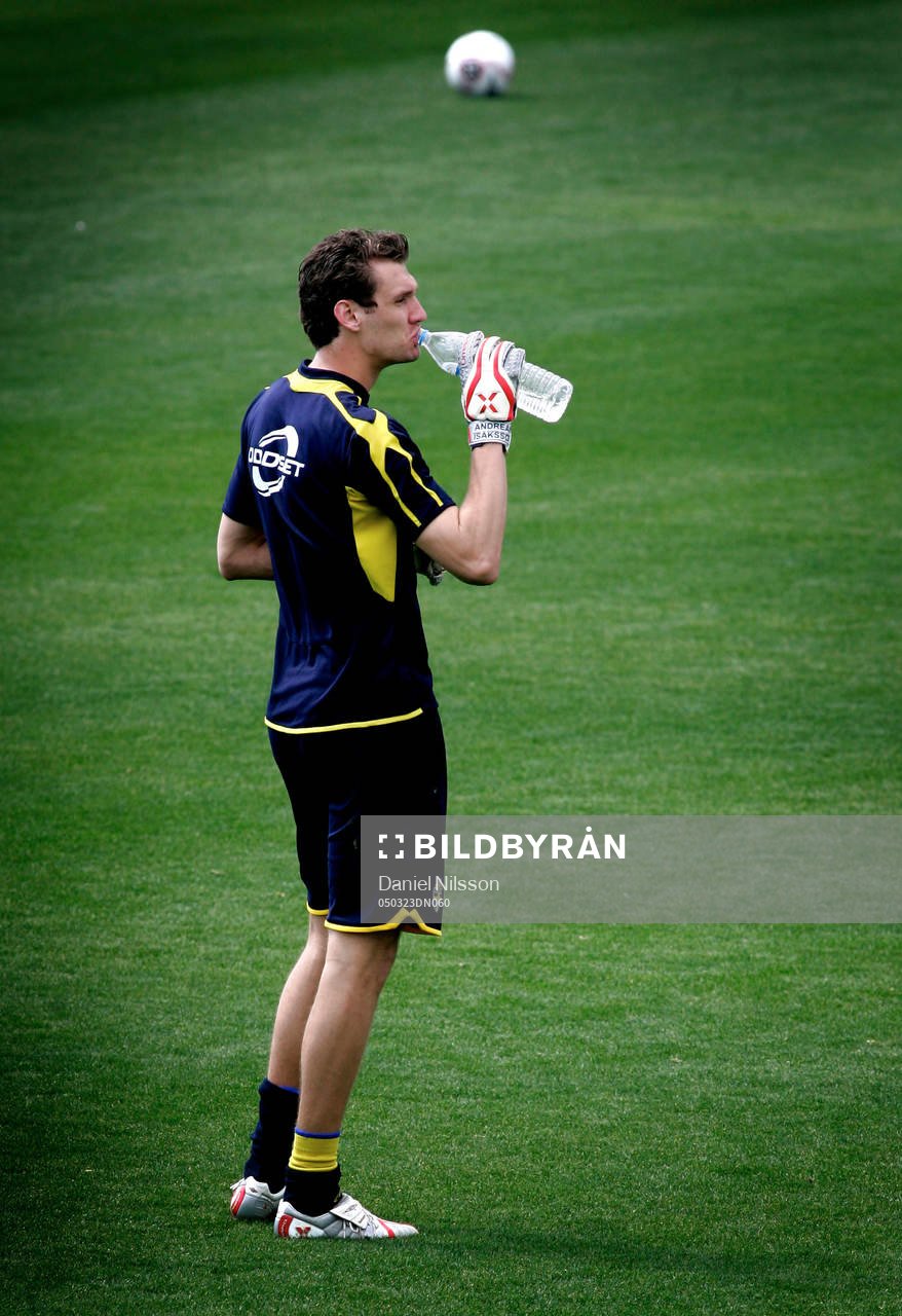 Andreas Isaksson (målvakt)