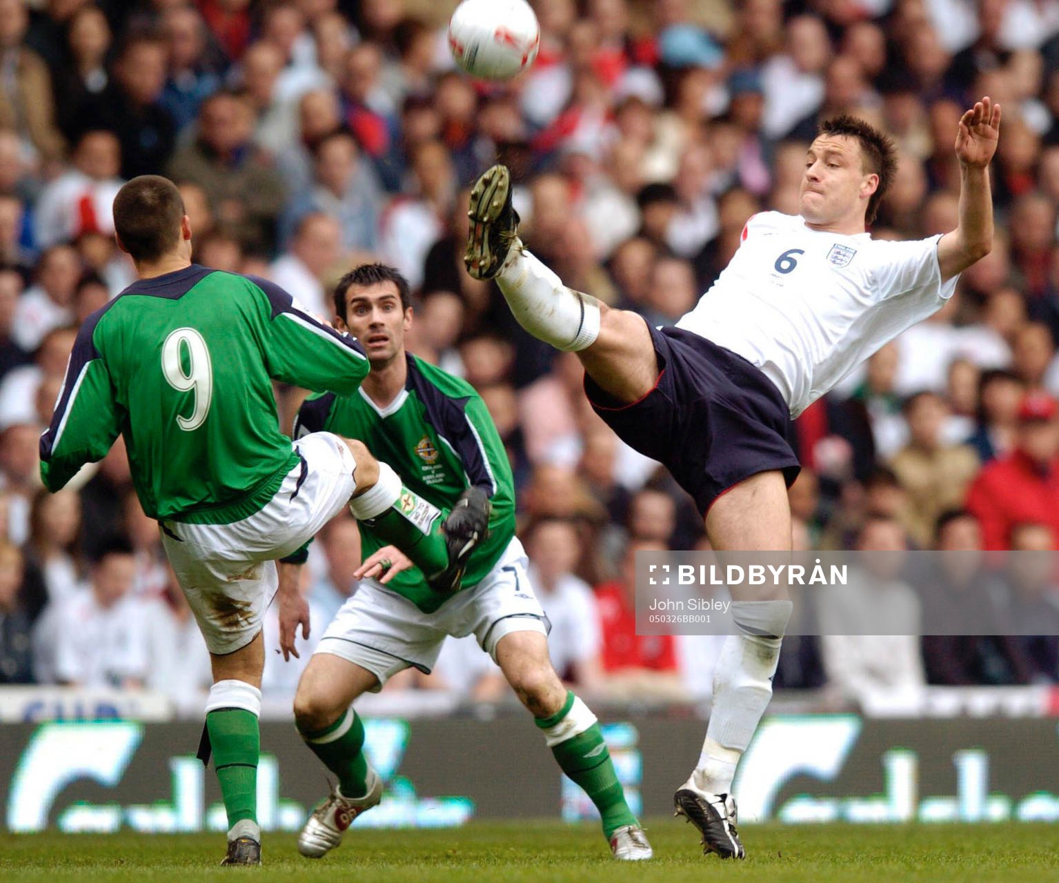 John Terry England och  David Healy Nordirland