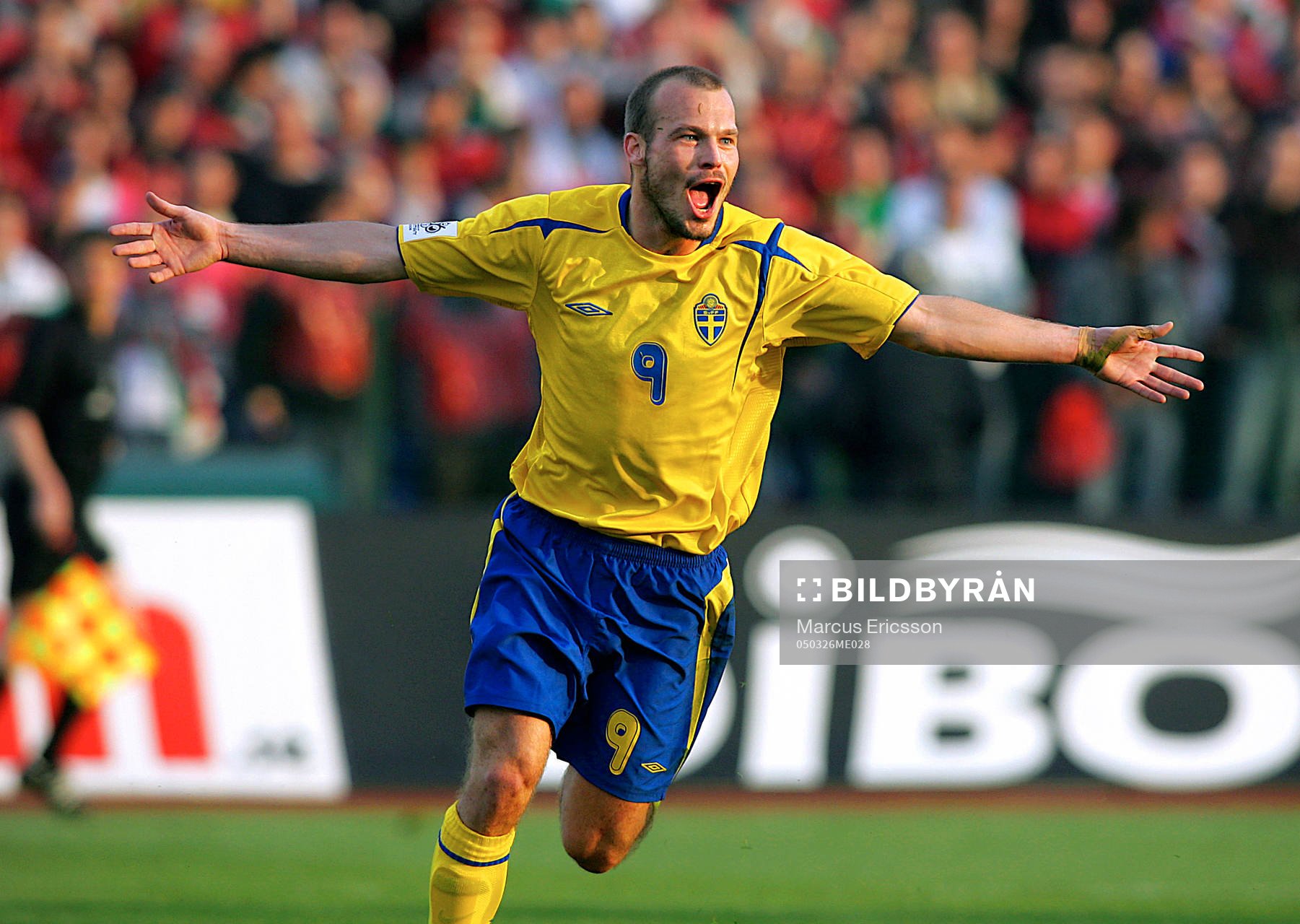 Fredrik Ljungberg, Jubel