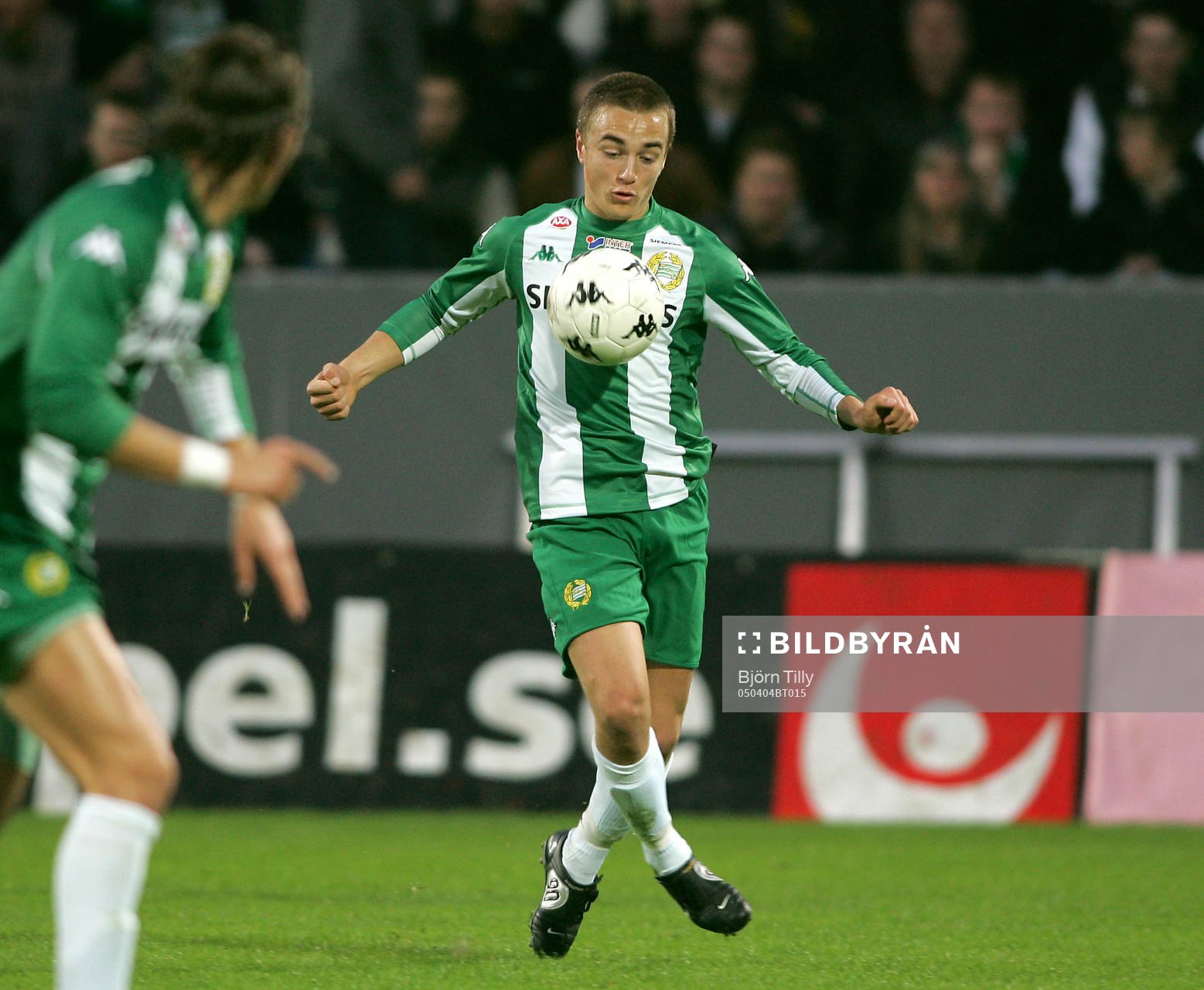 Petter Andersson, Hammarby