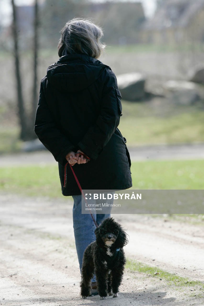 Åskådare, kvinna, hund