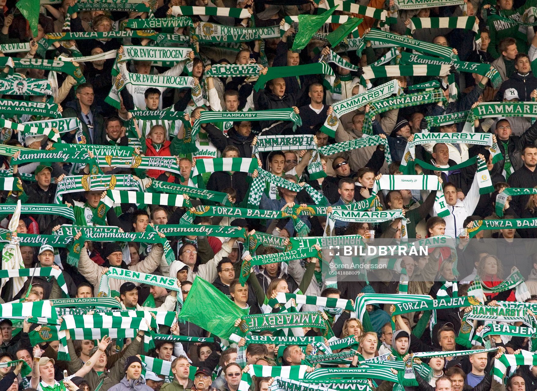 Supporter, Hammarby