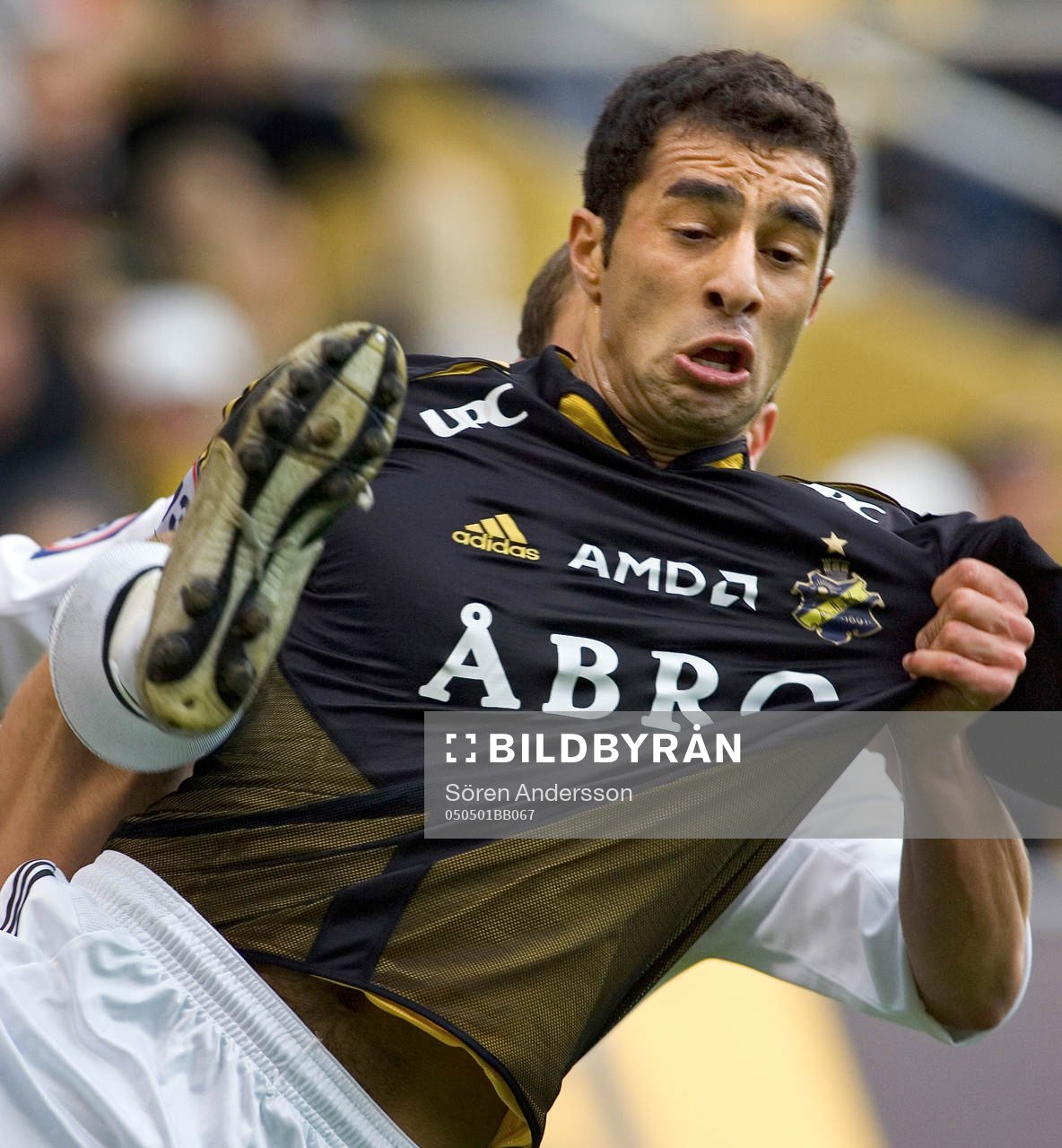 Arash Talebinejad