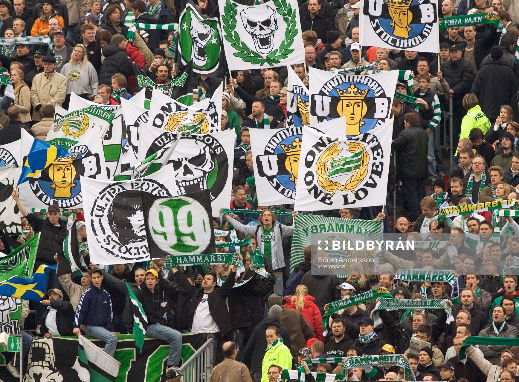 Supporter, Hammarby