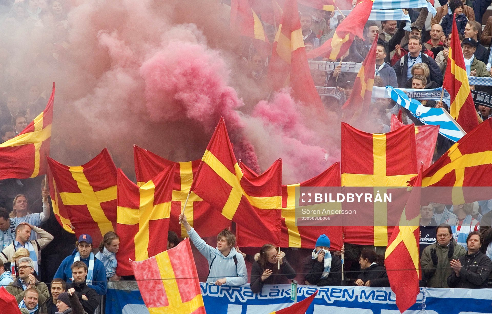 Supporter, Malmö FF