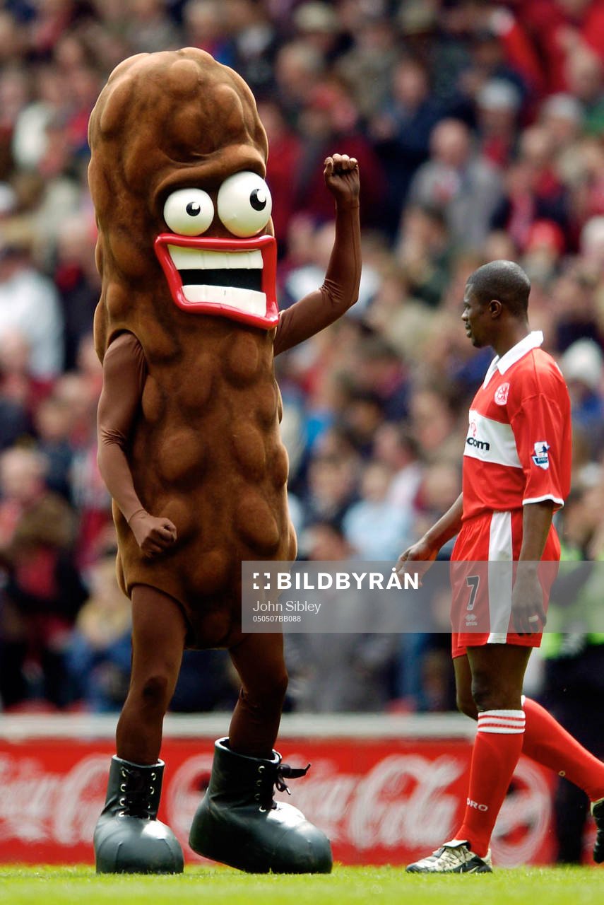 Fotboll, Premier League, Middlesbrough - Tottenham