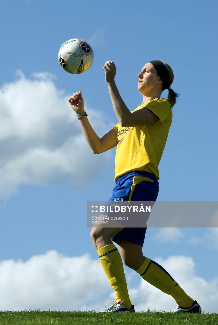 Sara Larsson, Sverige