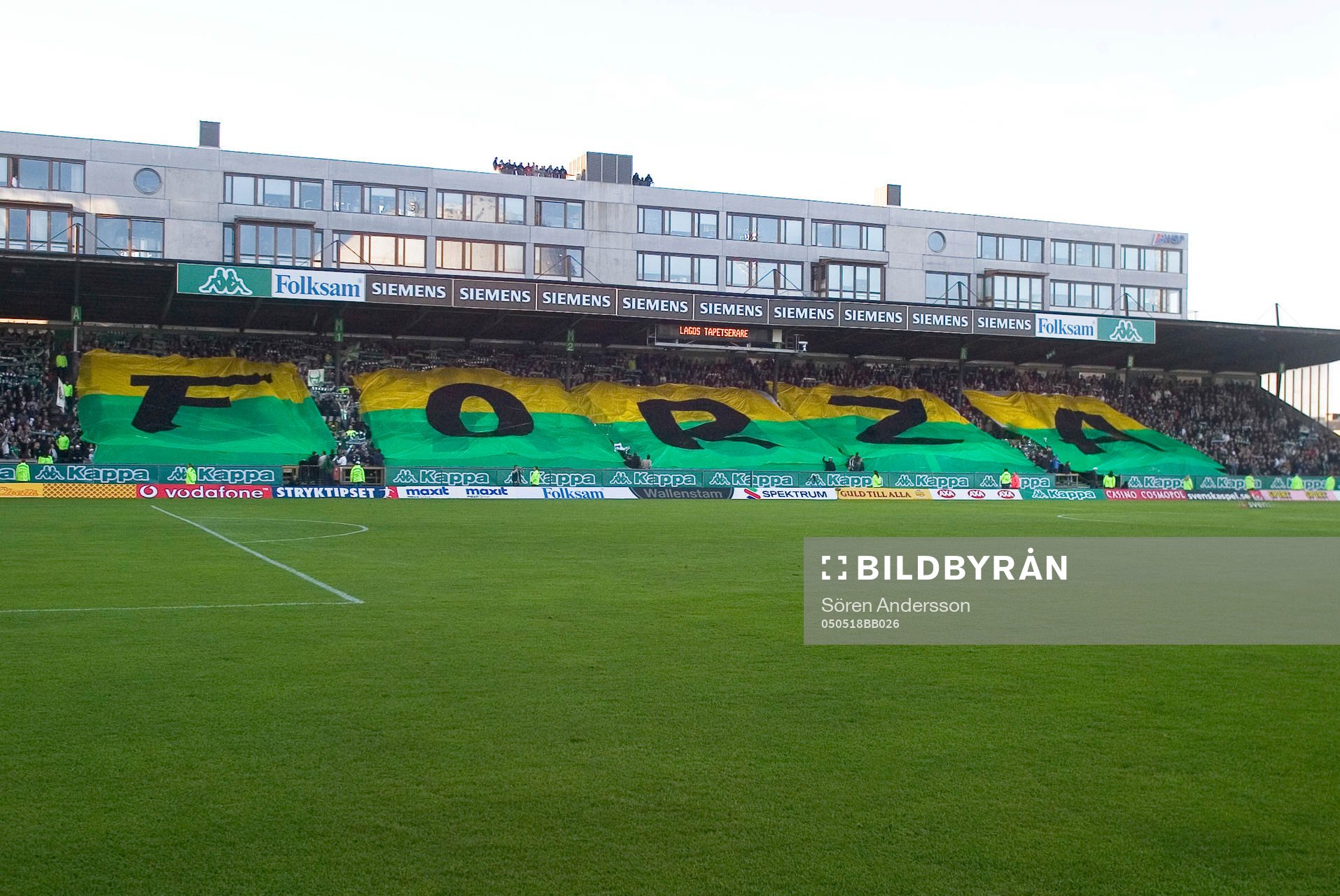 Supporter, Hammarby