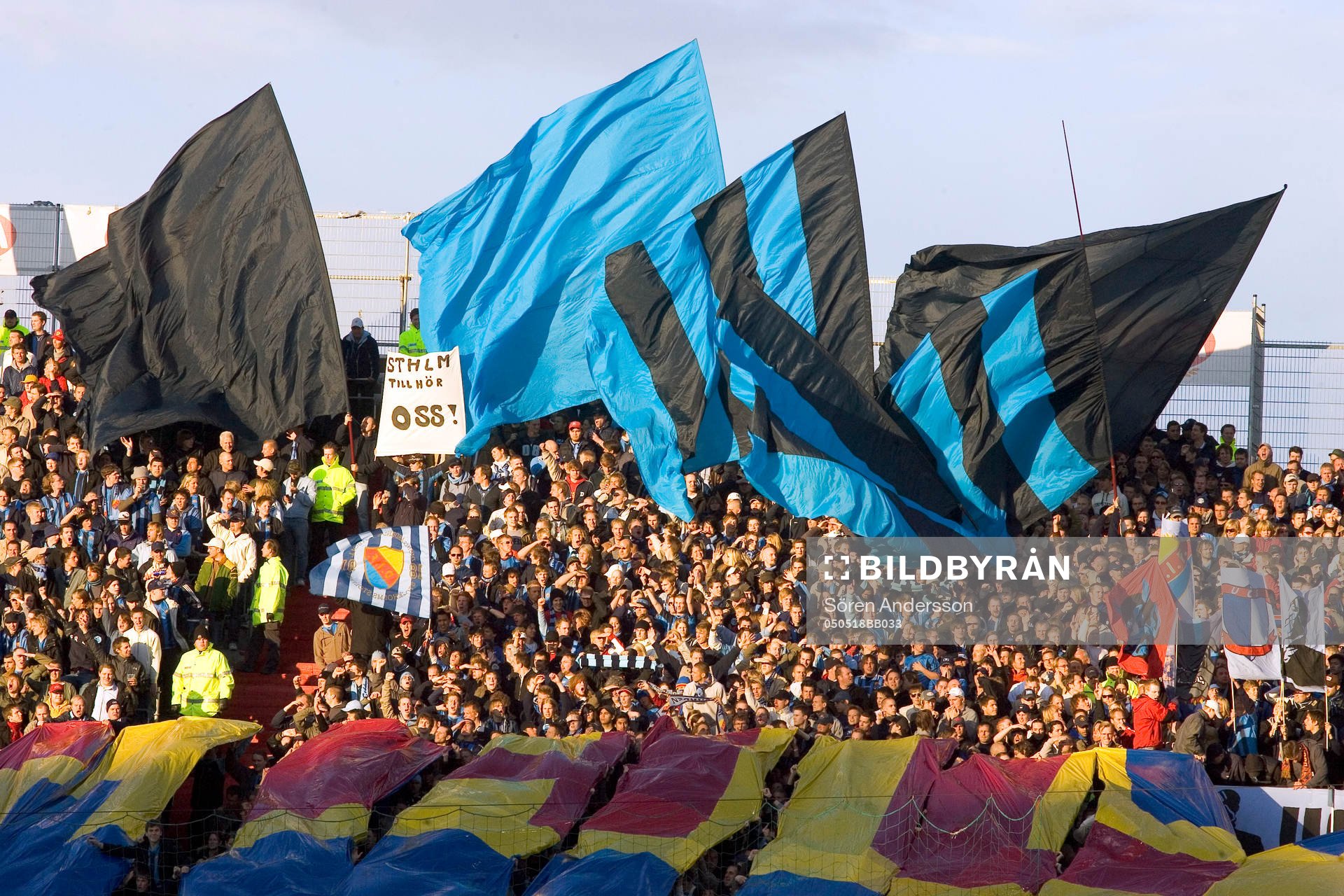 Supporter, Hammarby