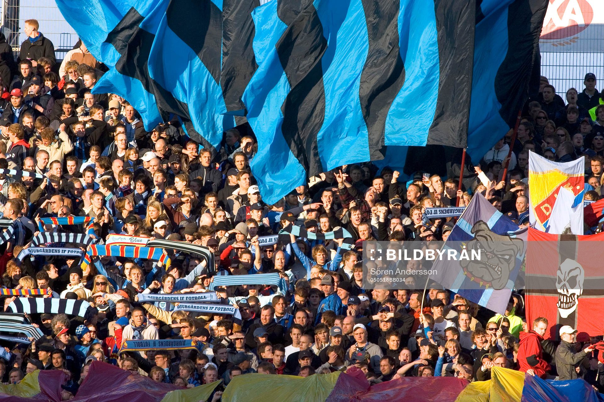 Supporter, Djurgården