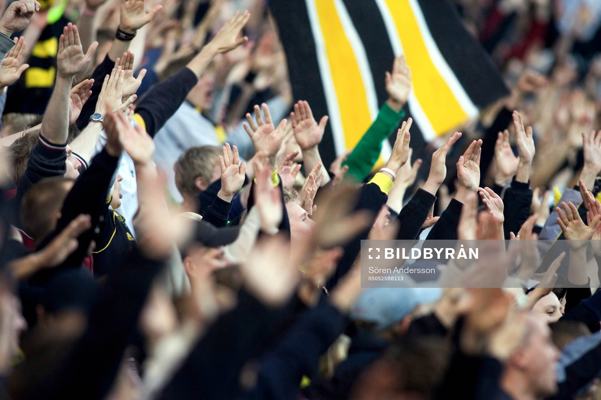 Supporter, AIK, Black army
