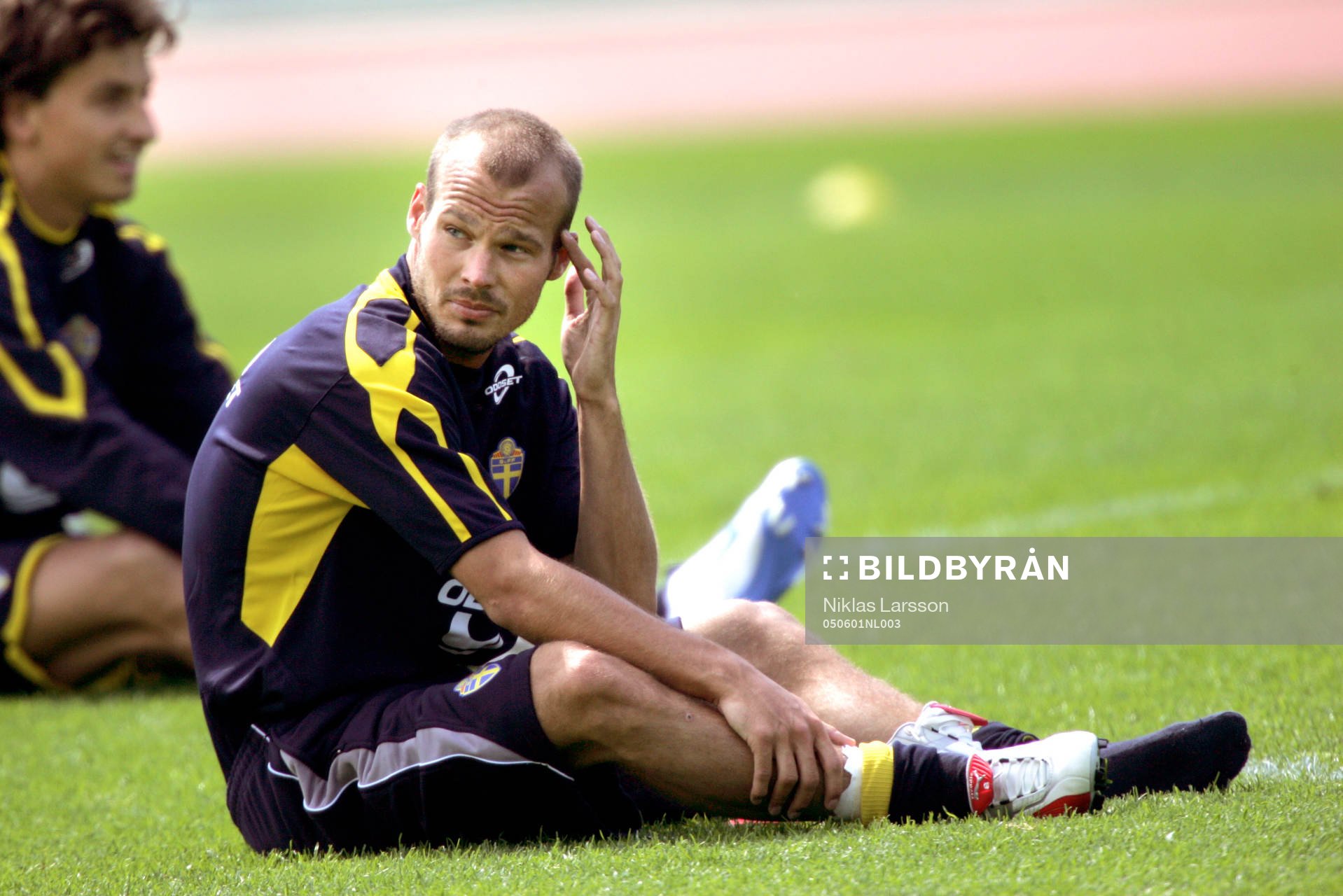 Fredrik Ljungberg, Sverige