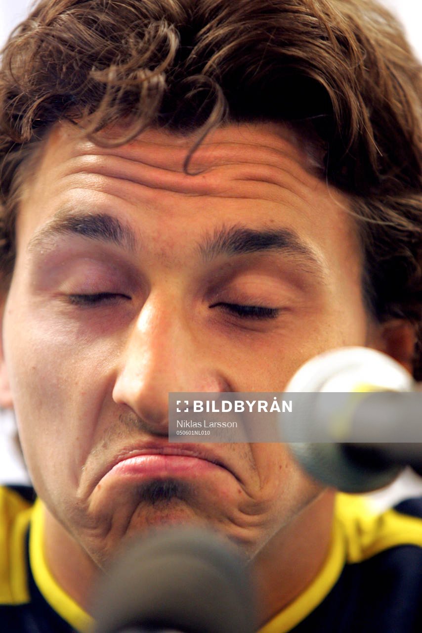 Zlatan Ibrahimovic, Sverige