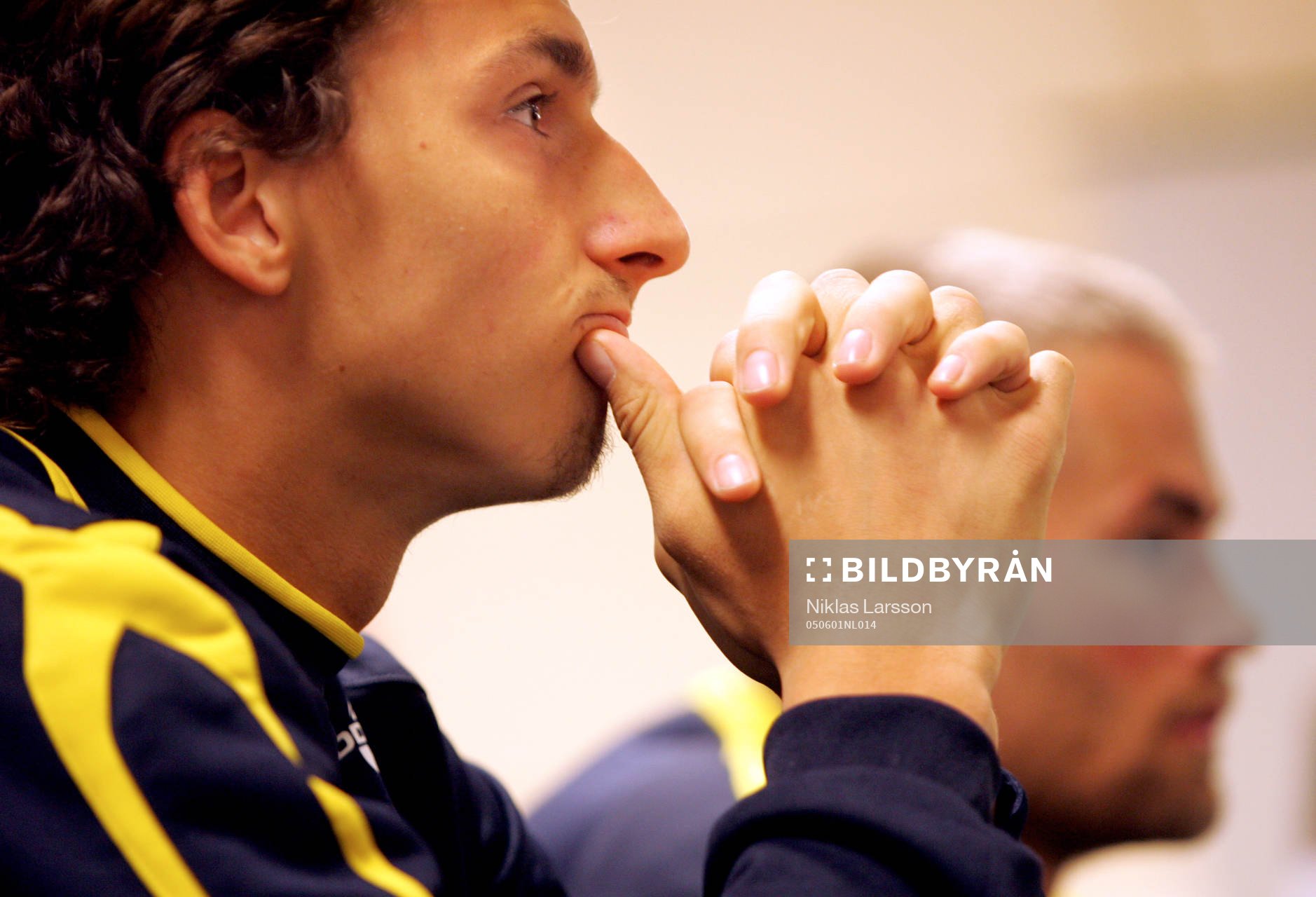 Zlatan Ibrahimovic, Sverige
