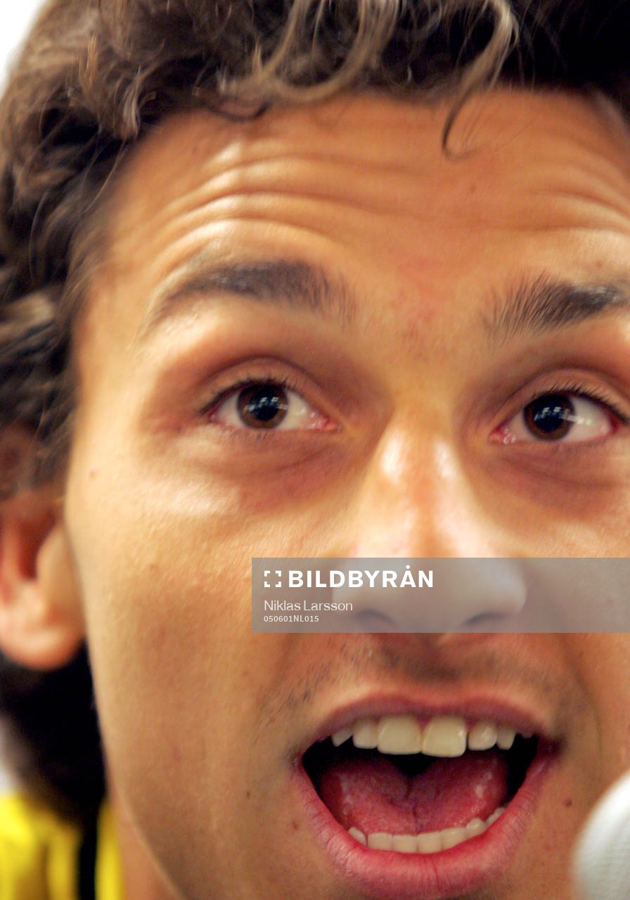 Zlatan Ibrahimovic, Sverige