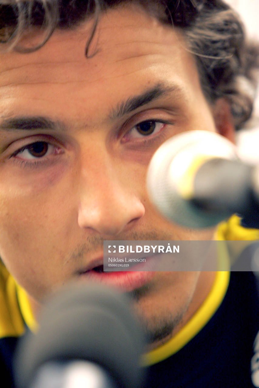 Zlatan Ibrahimovic, Sverige