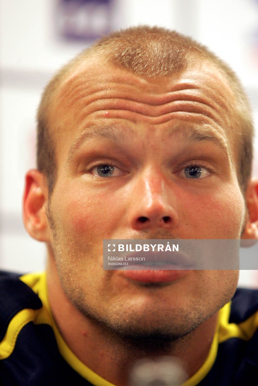 Fredrik Ljungberg, Sverige